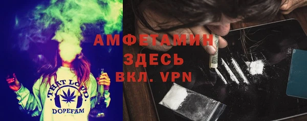 гашик Вяземский