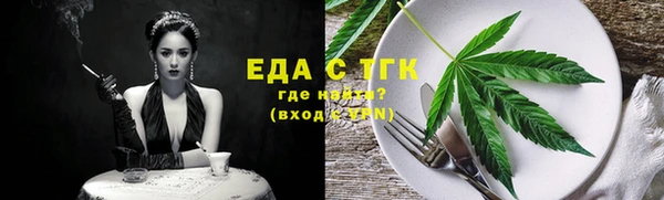 гашик Вяземский