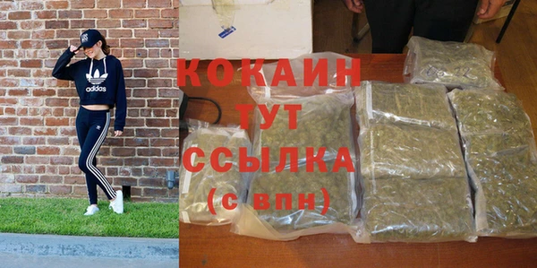 гашик Вяземский