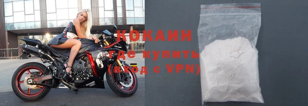 гашик Вяземский