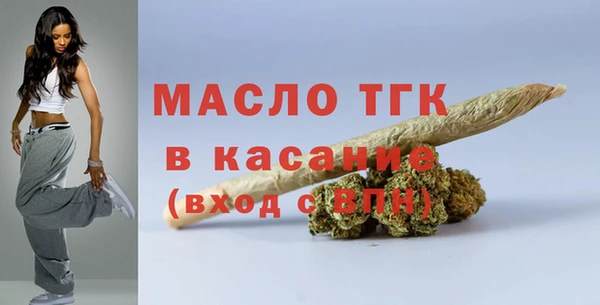 гашик Вяземский