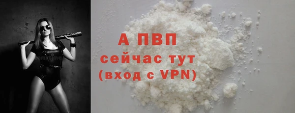 гашик Вяземский