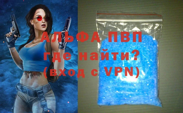 гашик Вяземский