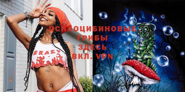 гашик Вяземский