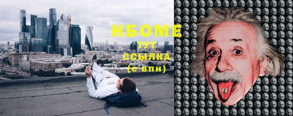 гашик Вяземский