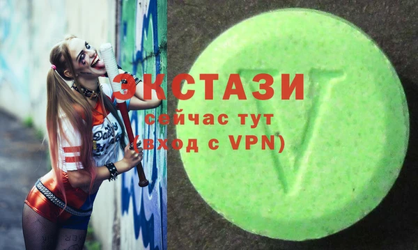 гашик Вяземский