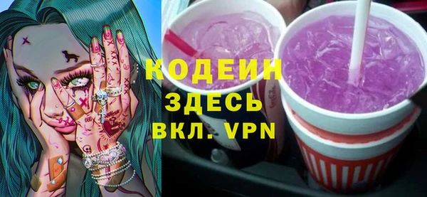 гашик Вяземский