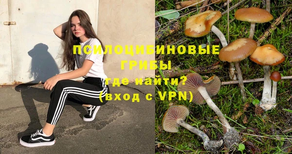 ALPHA PVP Вязники