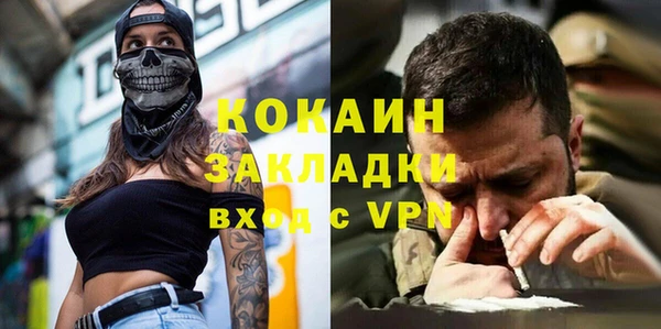 гашик Вяземский