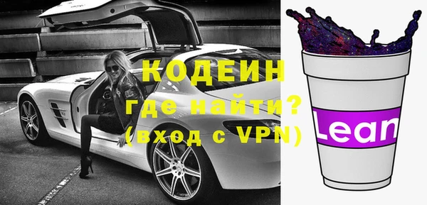 гашик Вяземский