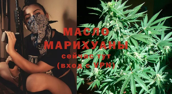 гашик Вяземский