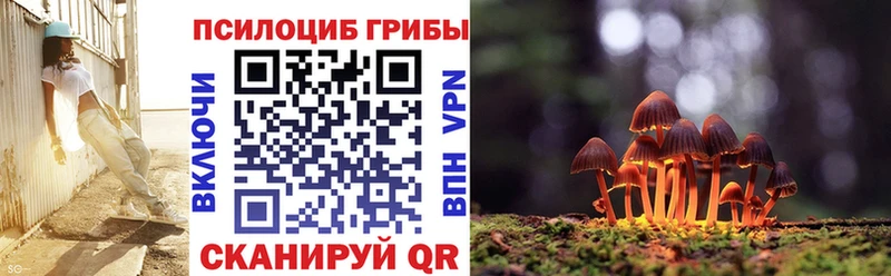 Псилоцибиновые грибы мухоморы где купить наркоту Пермь